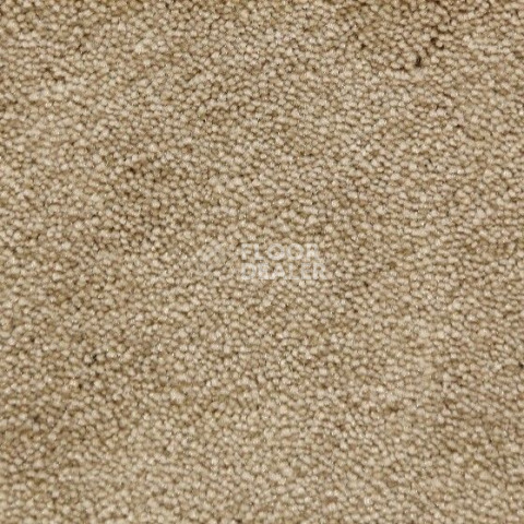 Ковролин Radici Lord Beige 126A фото 1 | FLOORDEALER